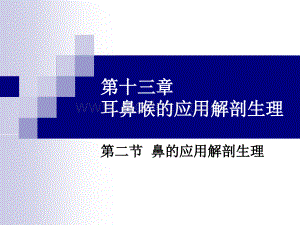 鼻的应用解剖生理.ppt