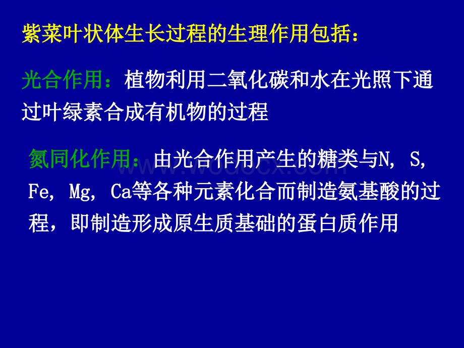 紫菜栽培学2(生长发育与环境、栽培方式).ppt_第3页