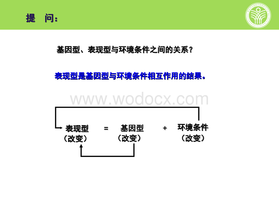 基因突变和基因重组.ppt_第3页