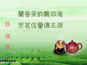 安溪铁观音介绍.ppt