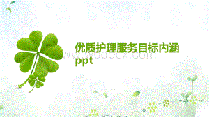 优质护理服务目标内涵ppt.pptx