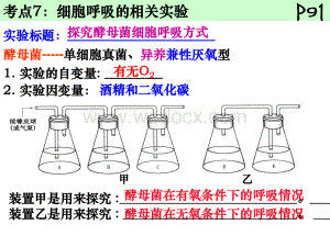 细胞呼吸实验.ppt