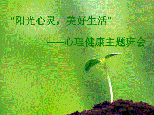 “阳光心灵_美好生活”心理健康教育主题班会.ppt