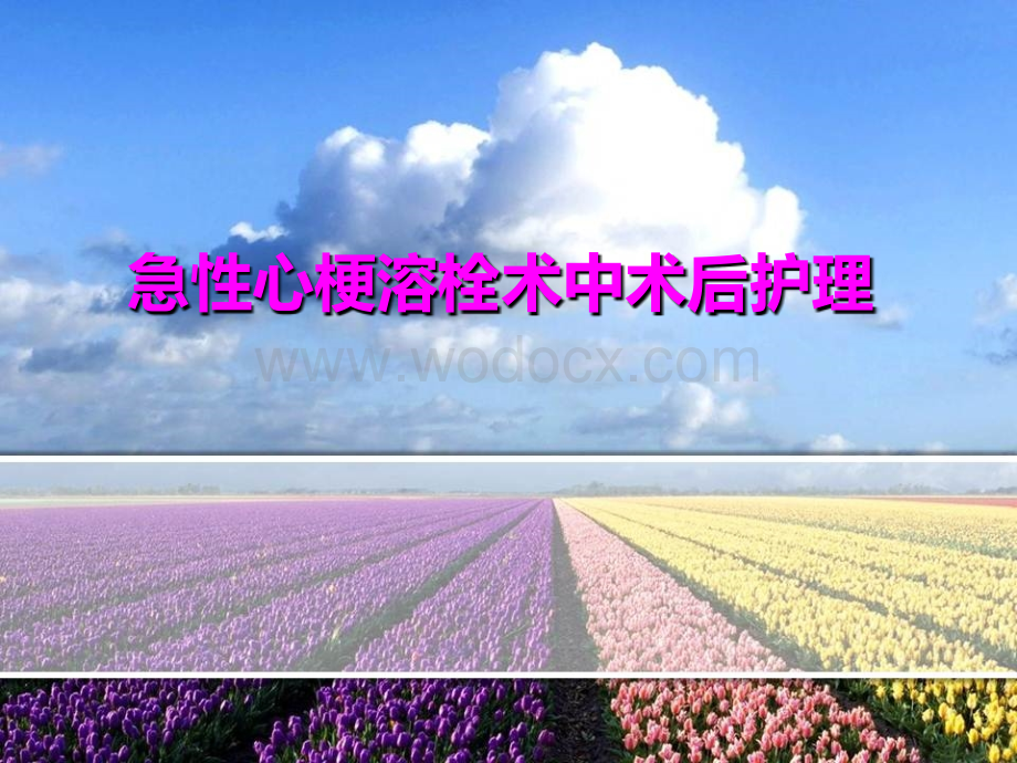 急性心梗溶栓的护理.ppt_第1页