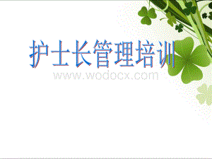 护士长管理培训.ppt
