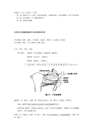 妇产科学重点整理.docx