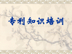 专利培训材料.ppt
