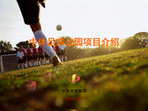 足球公园项目介绍_dayin.ppt