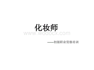 化妆师初级职业资格培训.ppt