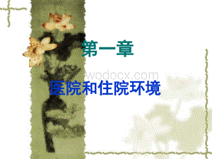 医院和住院环境.ppt