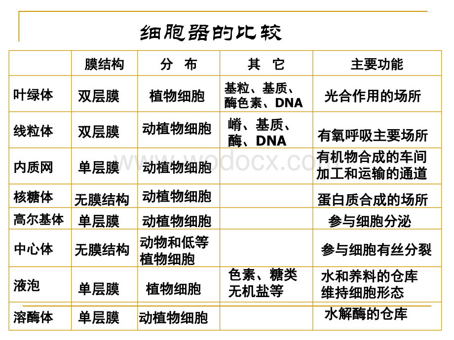 第3节细胞核—系统的控制中心——课件.ppt_第1页