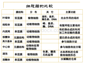 第3节细胞核—系统的控制中心——课件.ppt