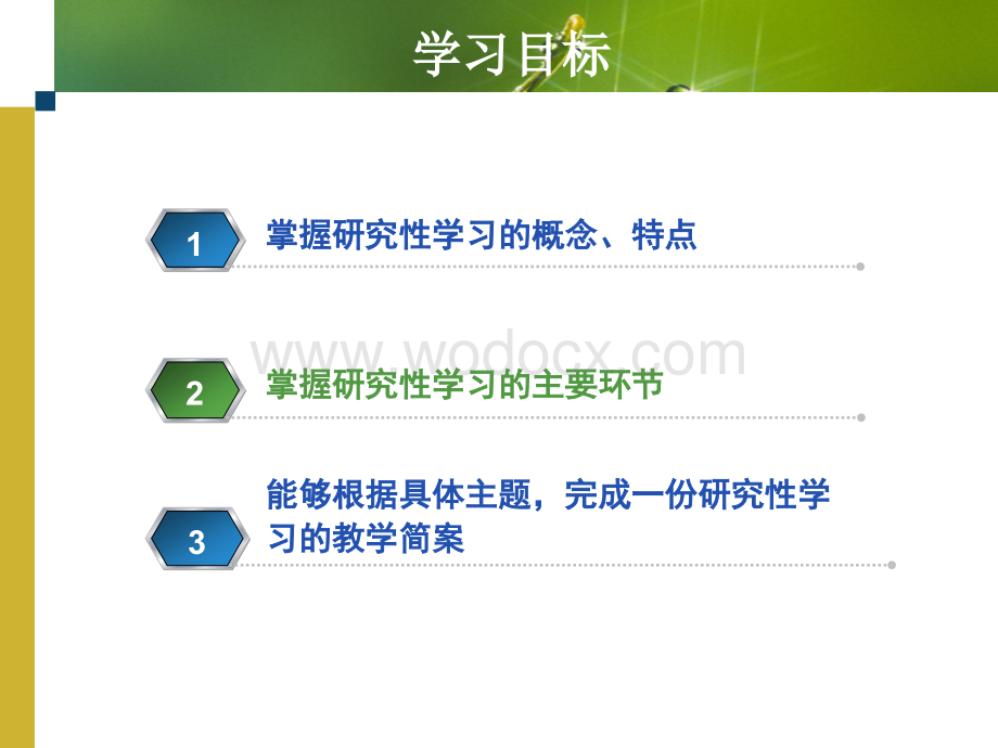研究性学习的教学设计-课件.PPT_第2页