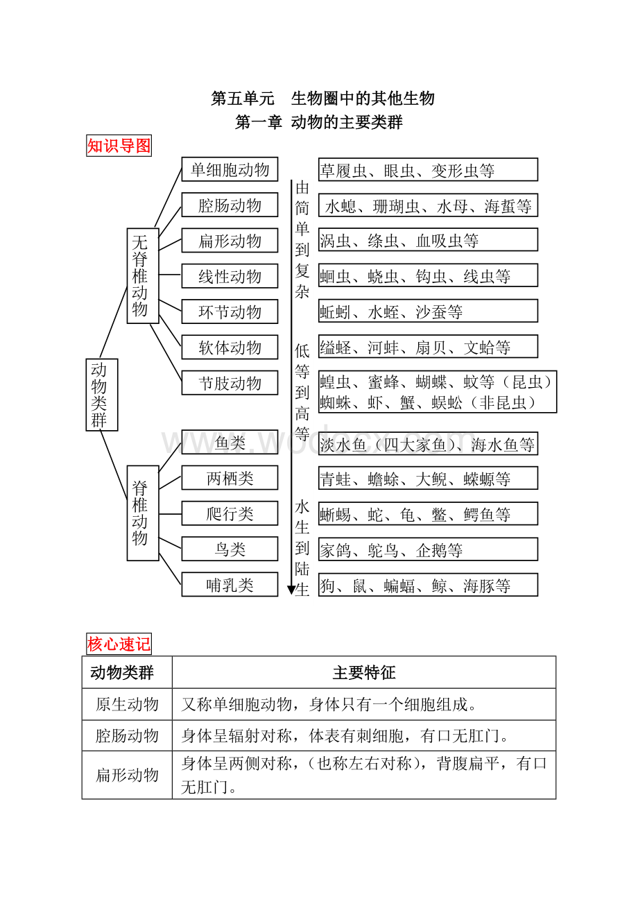 人教版八年级上册生物中考考点精华识记(思维导图版).doc_第1页