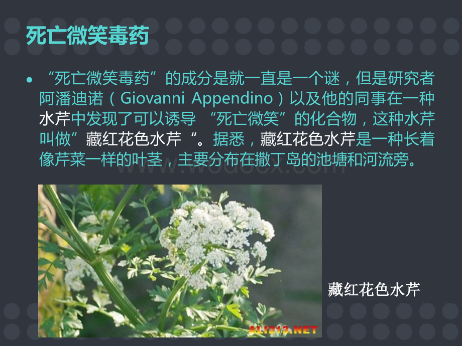 电影中的化学优质课件.pptx_第3页