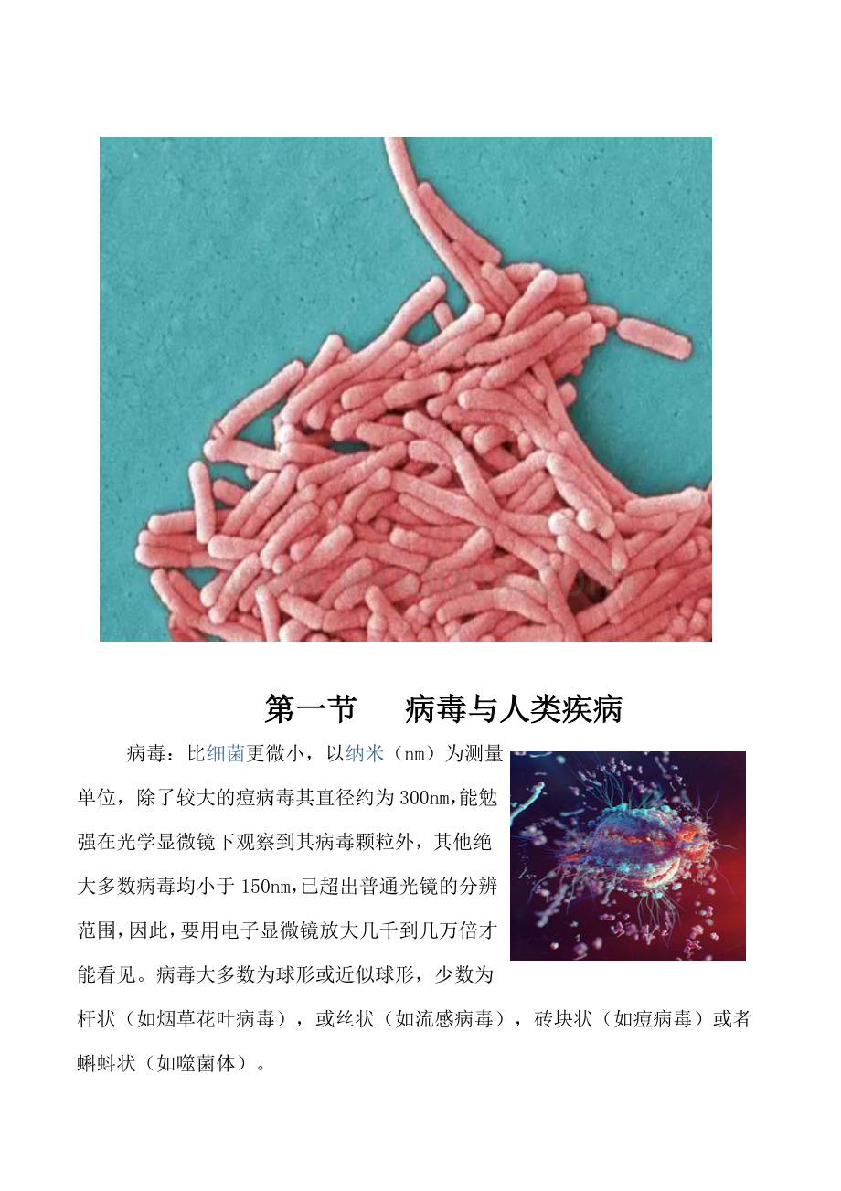 高中生物校本课程生物与生活.docx_第3页