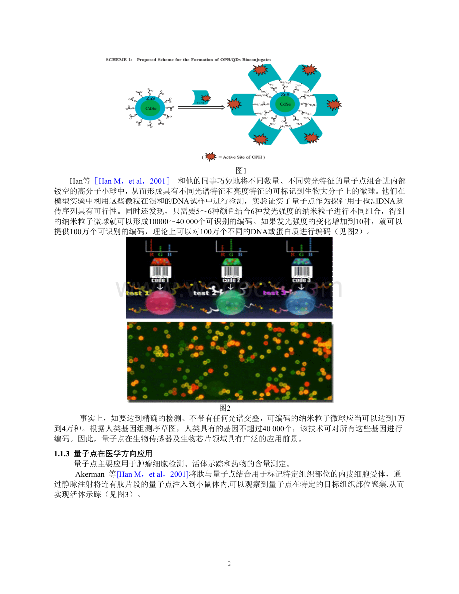 第7章生物物理技术纳米探针技术.doc_第2页