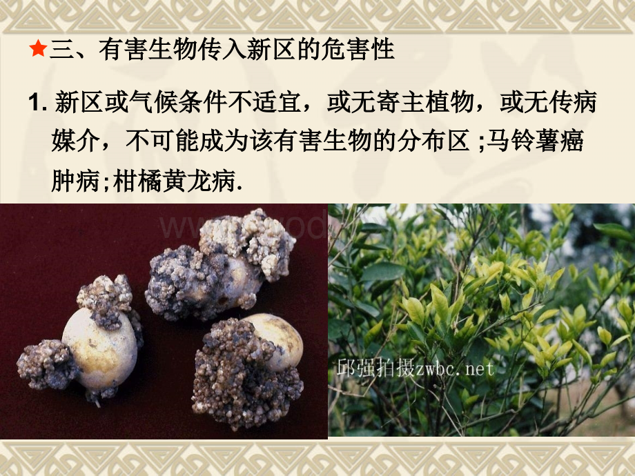 第三章 植物检验检疫的生物学基础.ppt_第3页