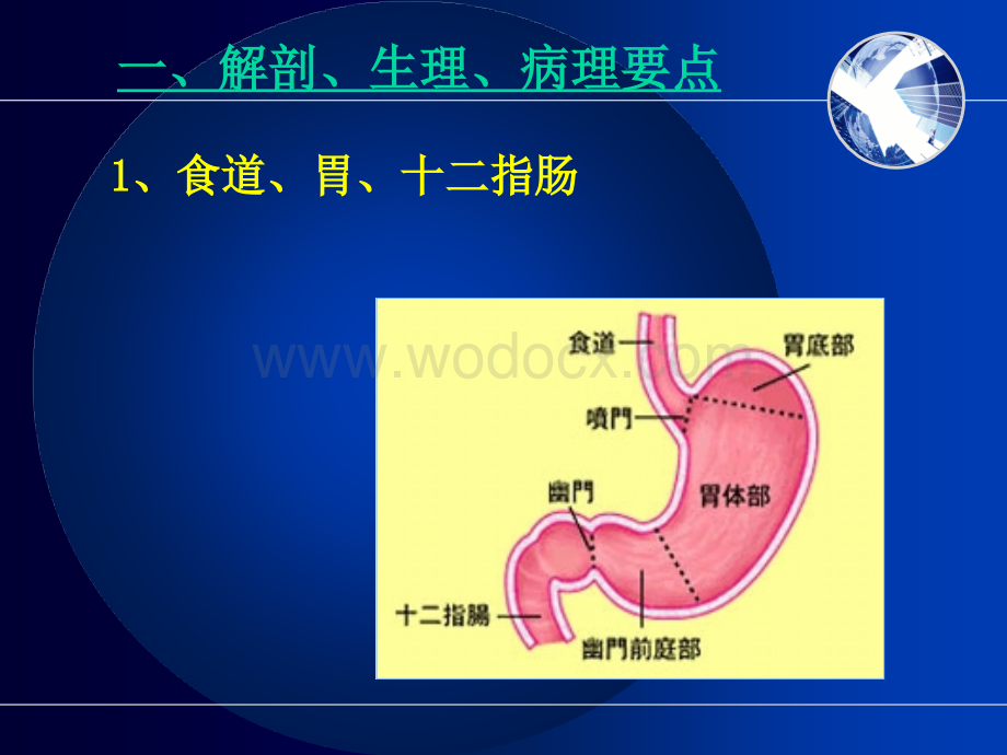 内科护理学消化系统疾病病人护理.ppt_第3页