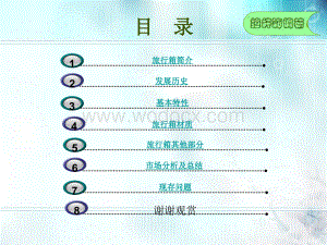 旅行箱调研报告课件.ppt