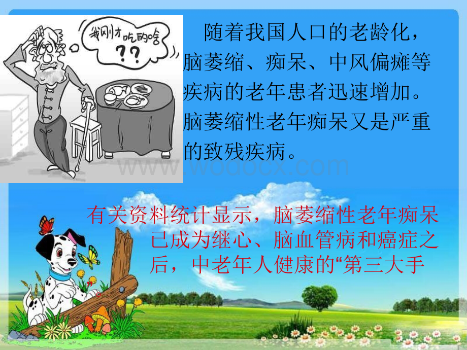 老年痴呆病人的康复护理指导.ppt_第1页