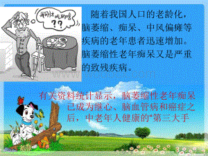 老年痴呆病人的康复护理指导.ppt