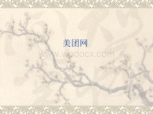 美团网课件PPT演示.ppt