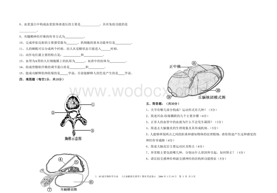 人体解剖生理学试卷师范大学.doc_第3页