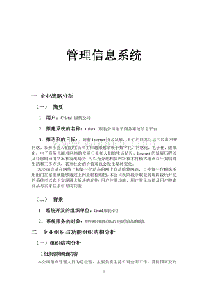 企业管理信息系统.doc