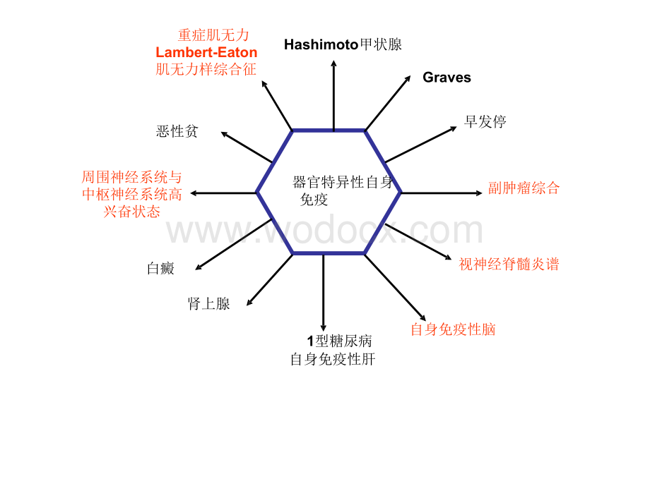 自身抗体与神经系统免疫病.doc_第1页