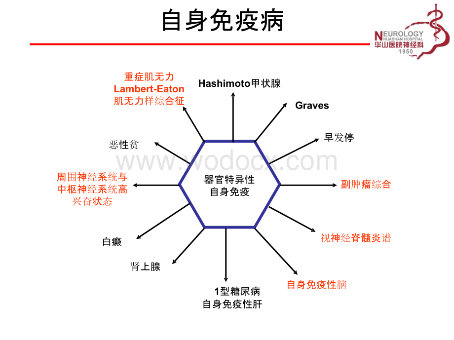 自身抗体与神经系统免疫病.pptx_第3页