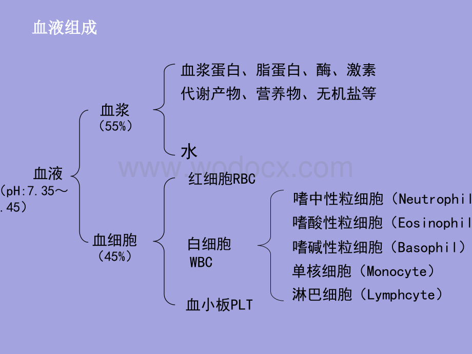 血常规参数临床意义.ppt_第1页