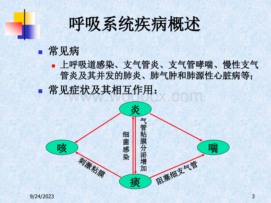 呼吸系统用药 课件.ppt_第3页