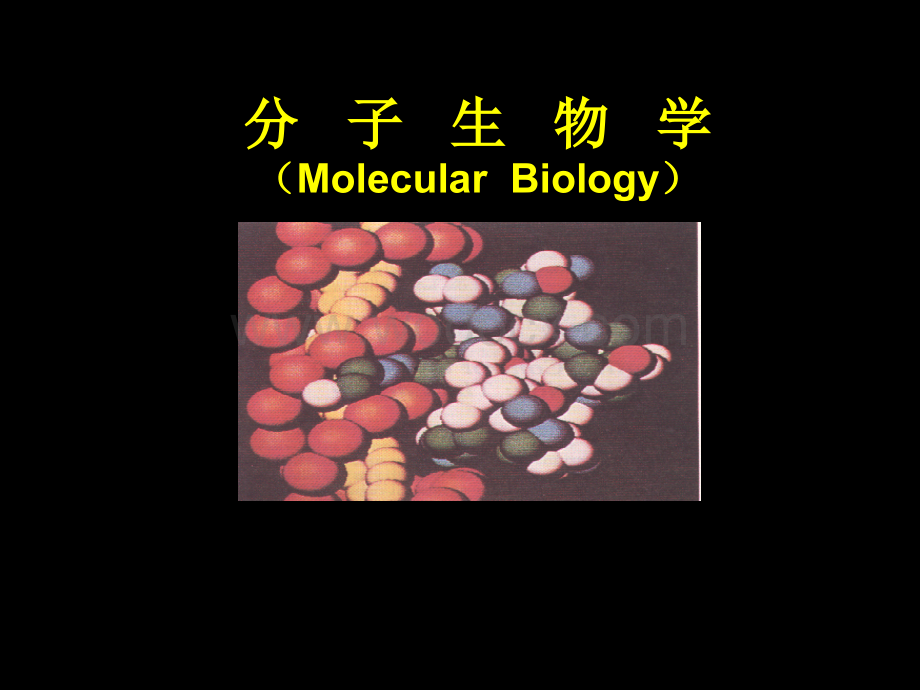分子生物学PPT课件.ppt_第1页