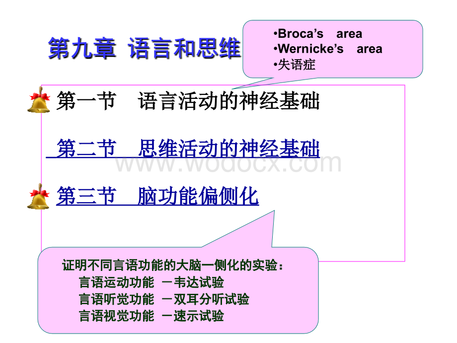 《生理心理学课件》第9章 语言和思维.ppt_第1页