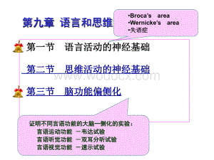 《生理心理学课件》第9章 语言和思维.ppt