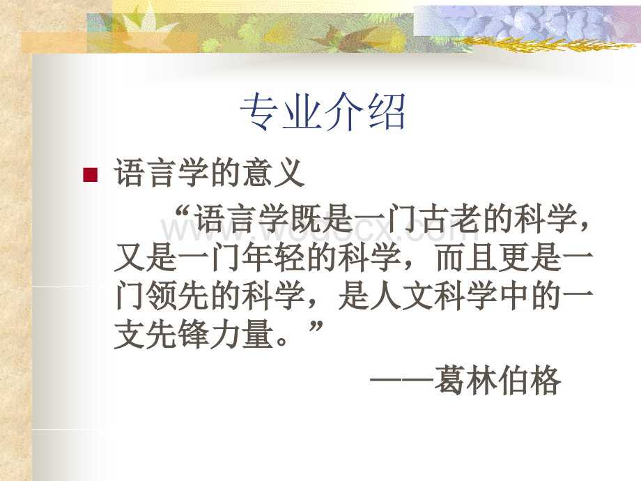 现代汉语课件（全册）.ppt_第2页