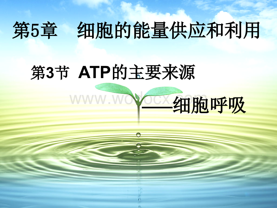 高中生物必修一第五章第三节-ATP的主要来源——细胞呼吸课件.ppt_第2页