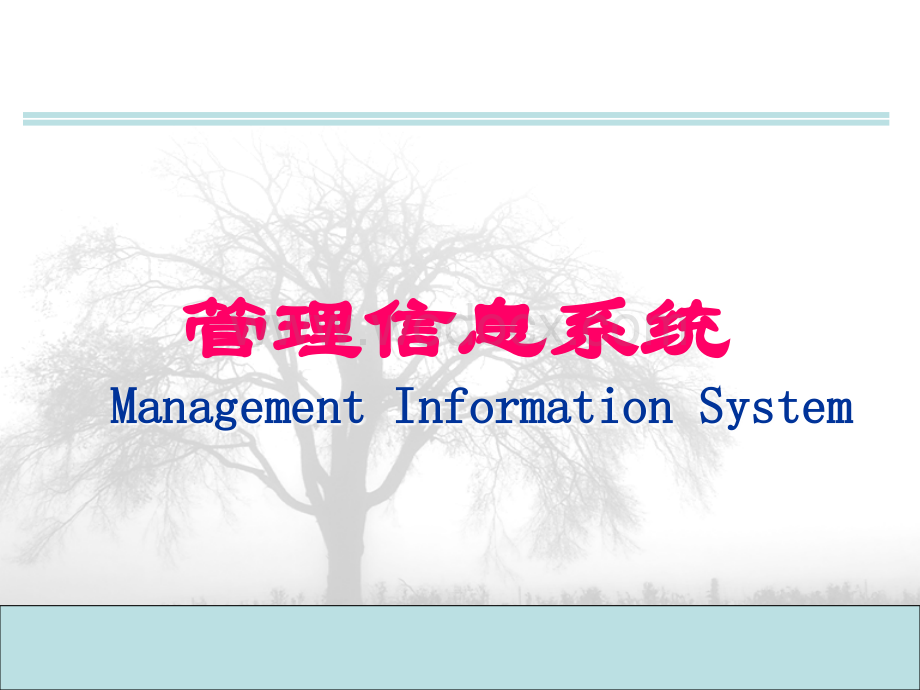 管理信息系统课件.ppt_第1页