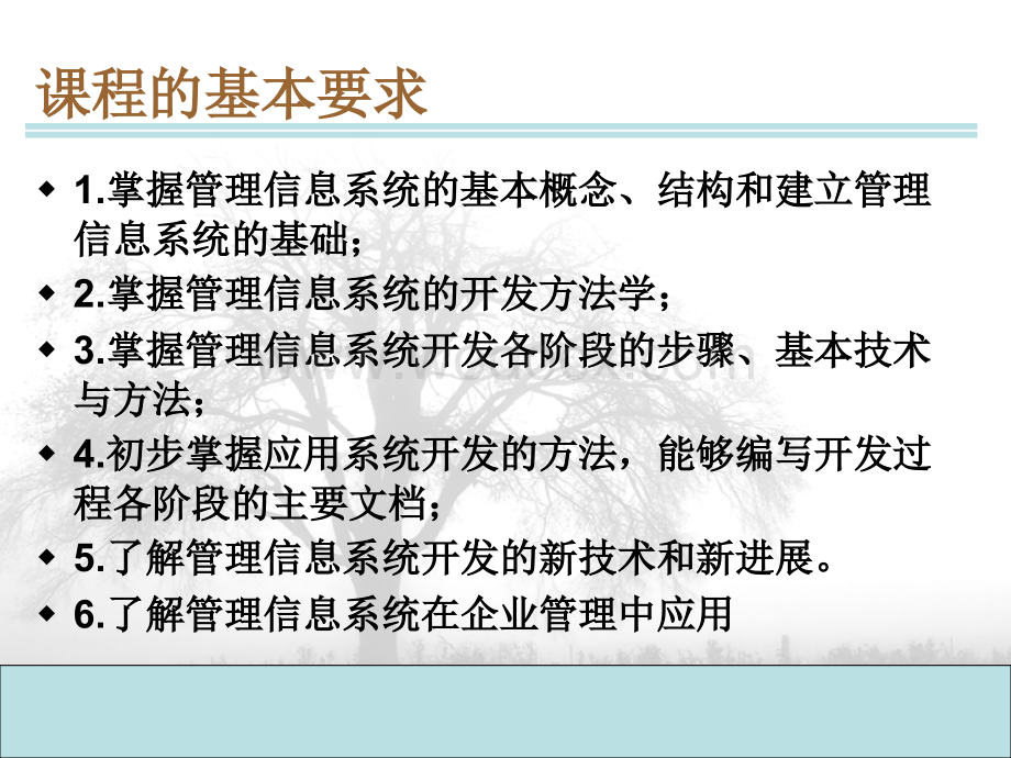 管理信息系统课件.ppt_第2页