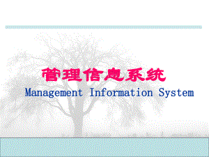 管理信息系统课件.ppt
