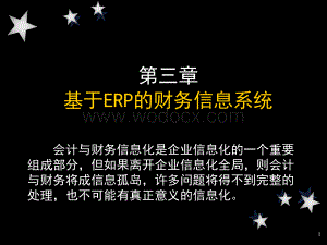 基于ERP的财务信息系统.ppt