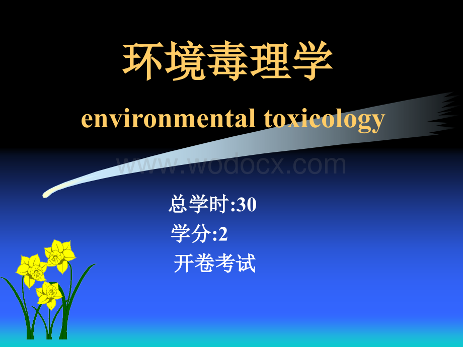 环境毒理学1ppt课件.ppt_第1页