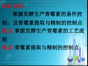 青霉素的生产工艺流程.ppt