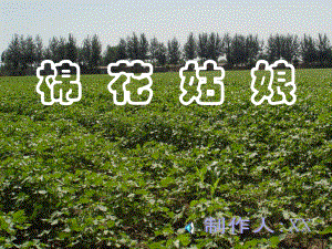 人教版《棉花姑娘》ppt课件之6.ppt
