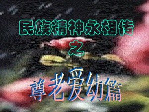 《民族精神代代传》主题班会课件.ppt
