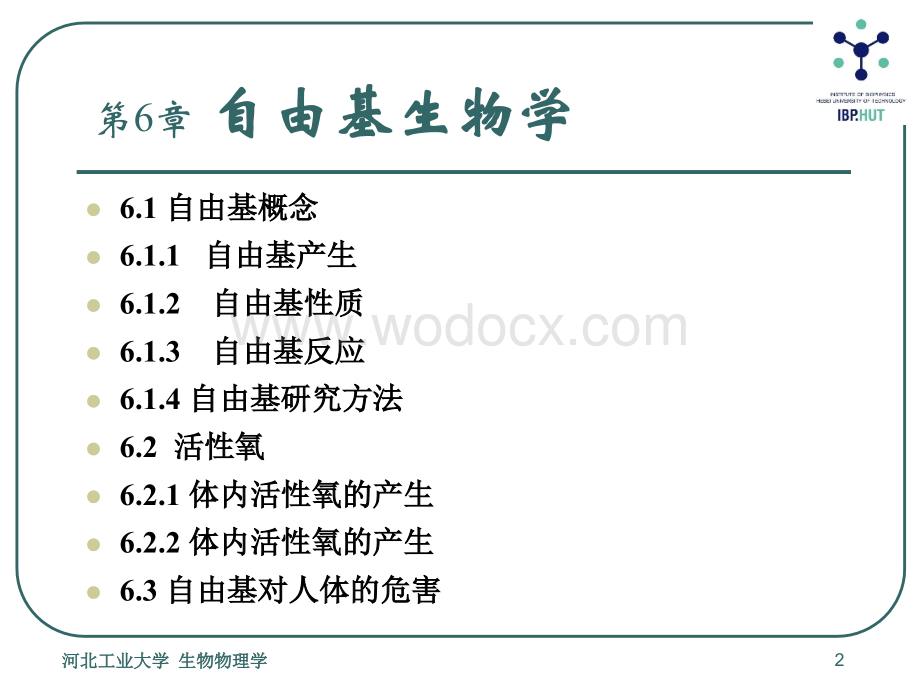 生物物理学-第六章.ppt_第2页