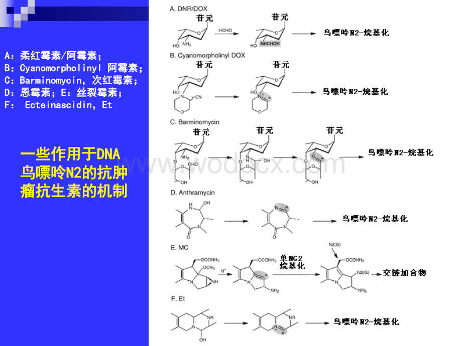 【医学课件】抗肿瘤抗生素及肿瘤细胞耐药性.ppt_第3页