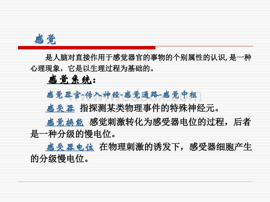 感知觉生理心理学(PPT).ppt_第2页