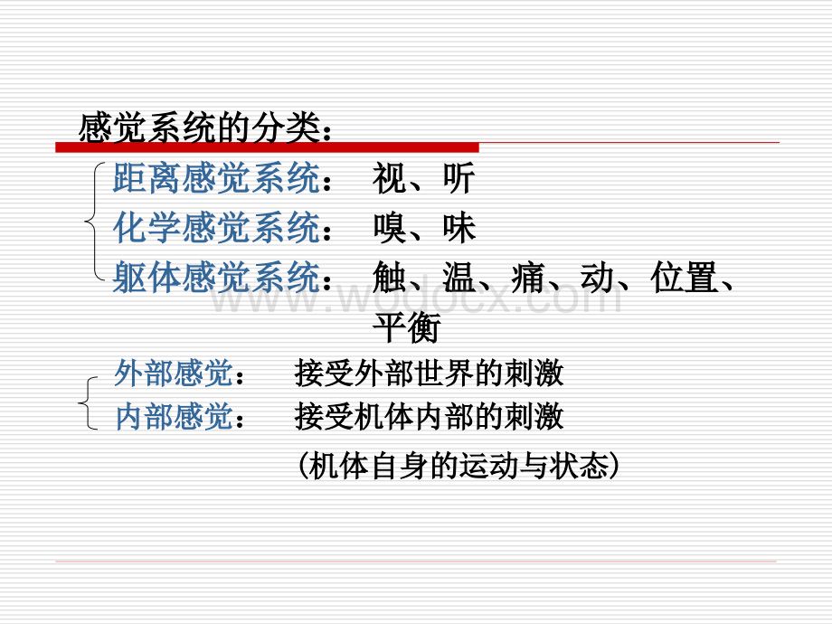 感知觉生理心理学(PPT).ppt_第3页